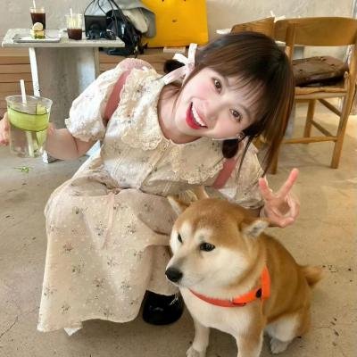 机器猛犬